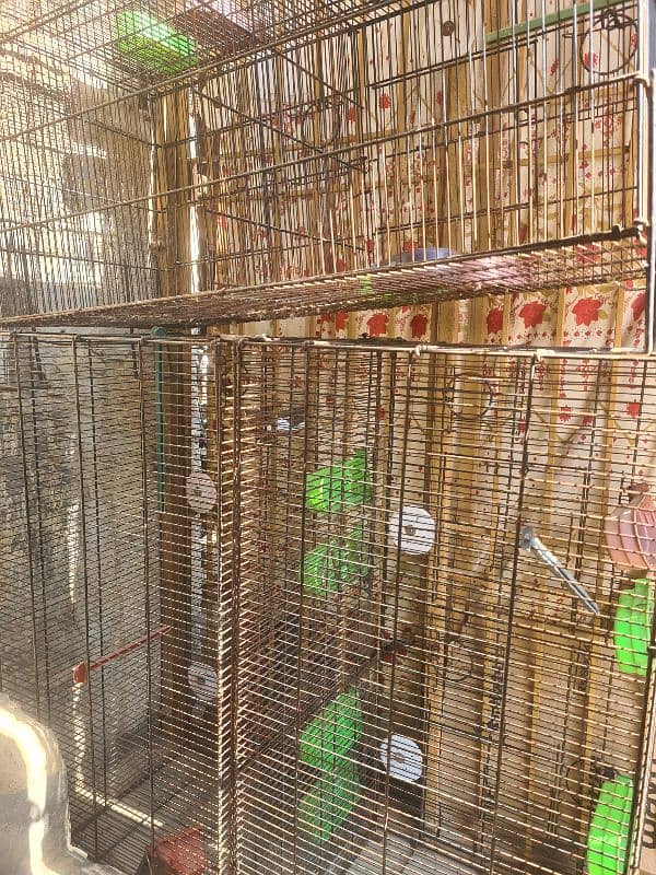 8 portion folding cage for sale 6