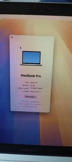 MacBook pro 2019 M1