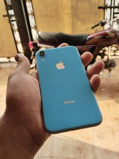 iphone XR JV 64