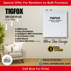 TIGFOX Lithium Battery (LifePO4) 51.2V 100Ah