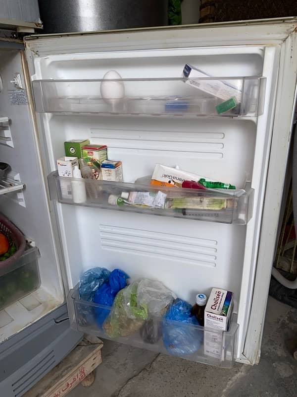 PEL Refrigerator Condition 10/10 3