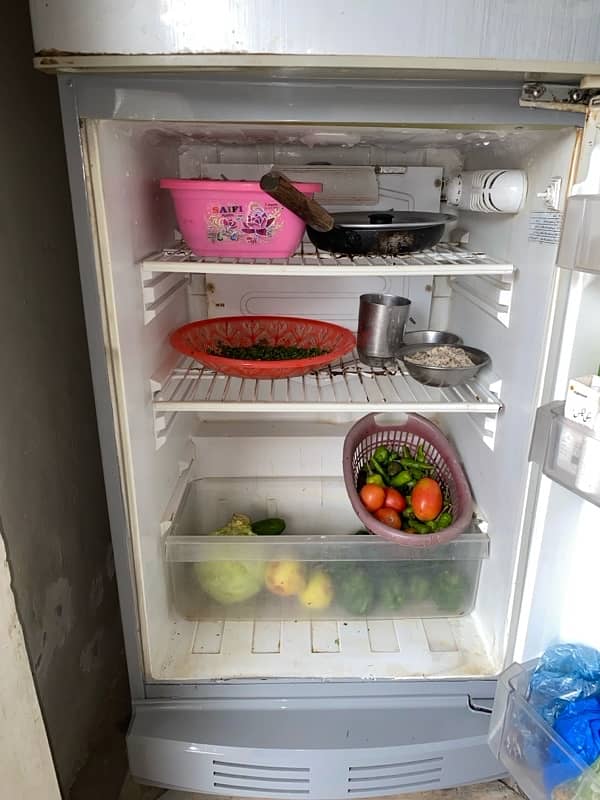 PEL Refrigerator Condition 10/10 4