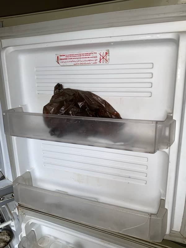 PEL Refrigerator Condition 10/10 5