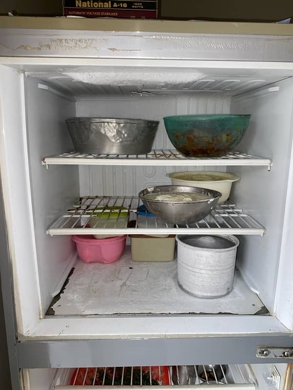 PEL Refrigerator Condition 10/10 6