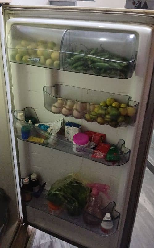 Full Size Fridge 0