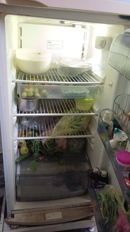 Full Size Fridge 3