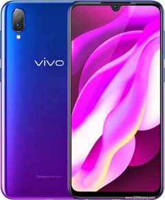 vivo