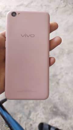 vivo80