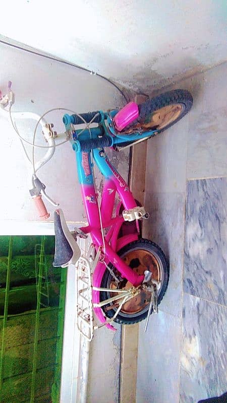 girls barbie cycle. 0