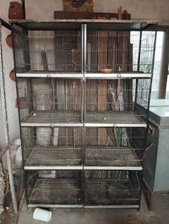 parrots cage hen cage