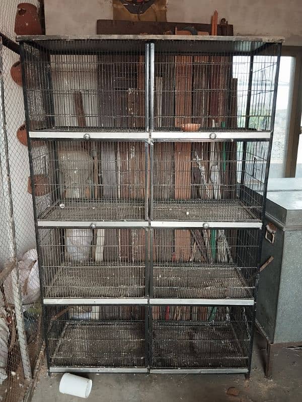 parrots cage hen cage 0