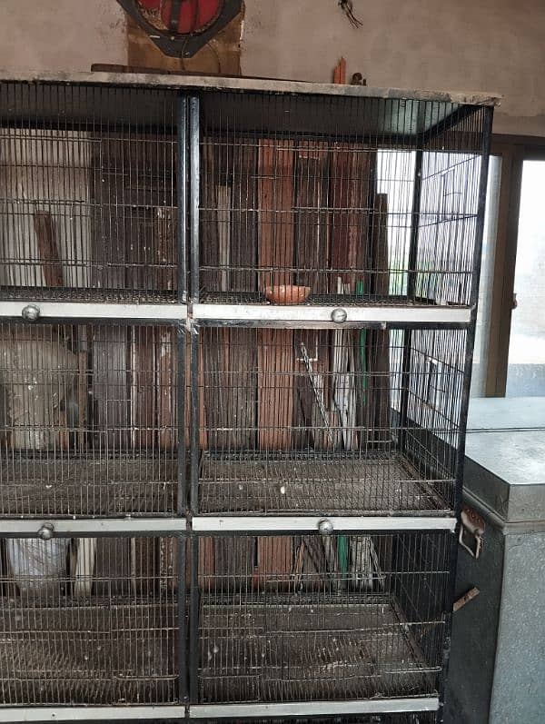 parrots cage hen cage 1