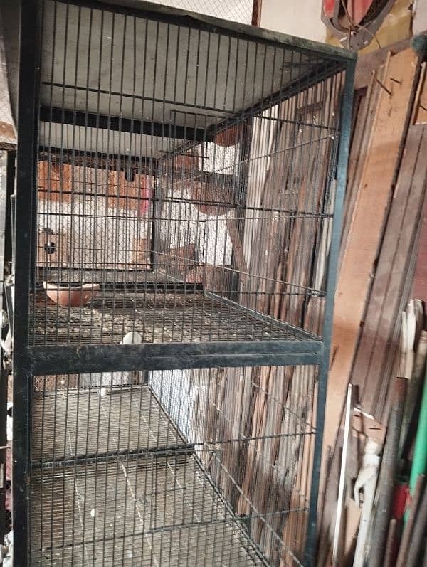 parrots cage hen cage 3