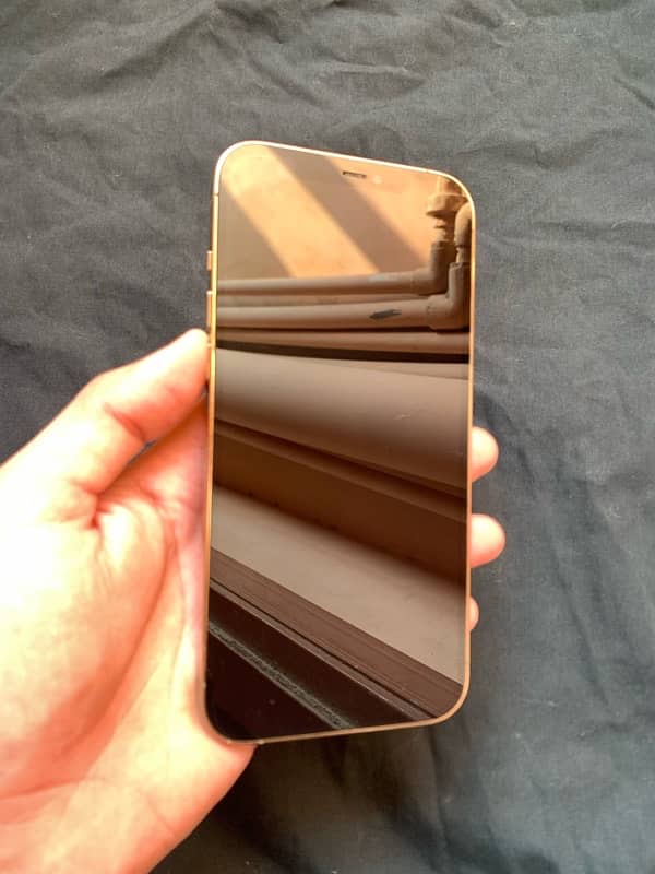 iphone 12 pro max 128gb 4