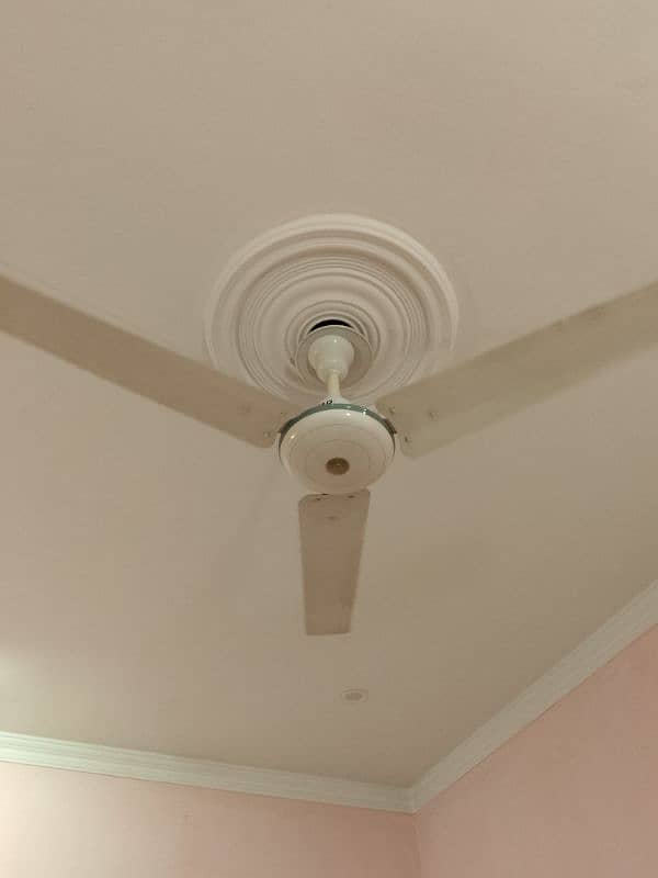 new fan urgent sale krna hai bilkul A one hai 4