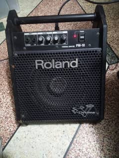 Roland Amplifier (V Drum)