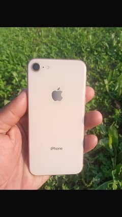 I phone 8 official pta