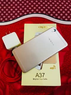 Oppo A37 3/32