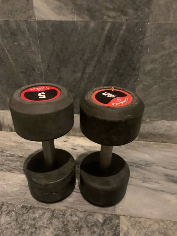 pair of 5kg rubber dumbbells 1