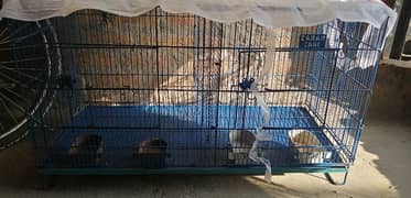 parrots cage 18/3