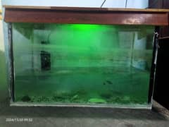 complete Fish Aquarium with Lights+air pump+Air filter