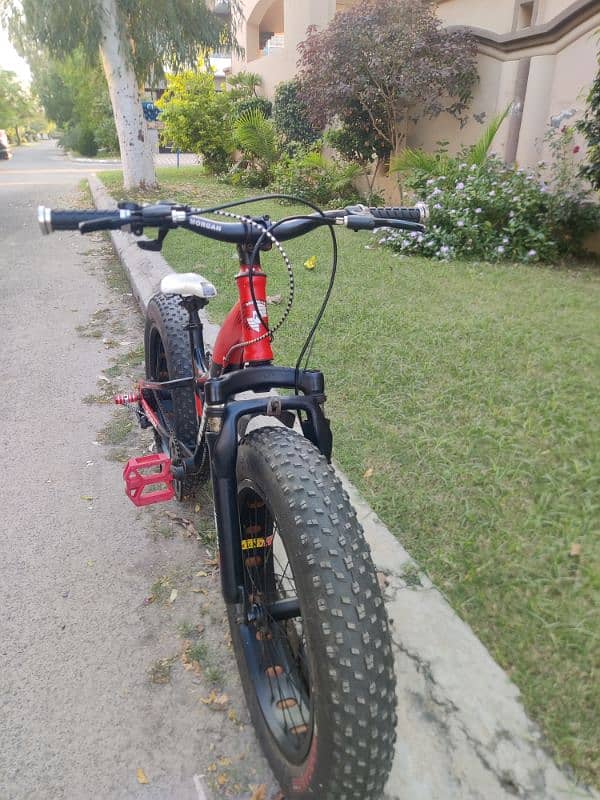 Morgan fatbike for kids 2