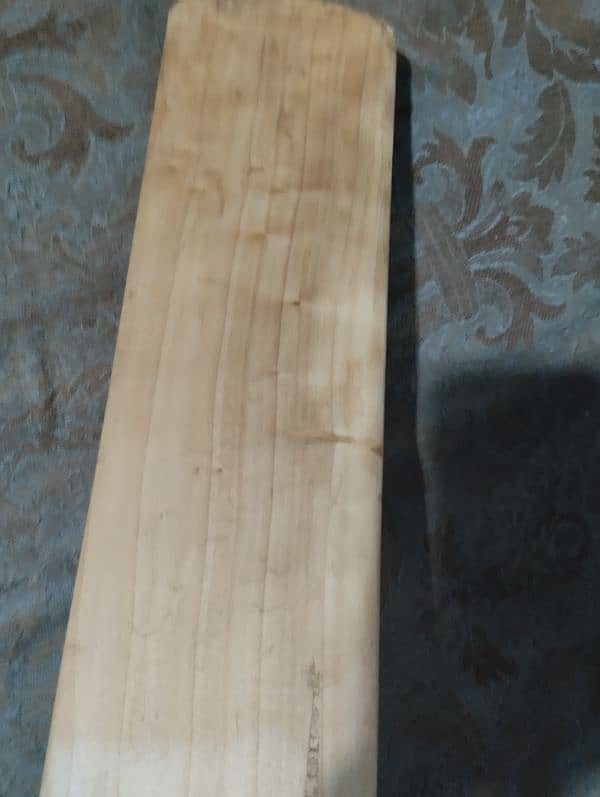 Hardball bat made in Sialkot 3