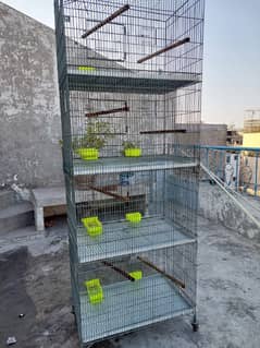 Hen / Parrots cage