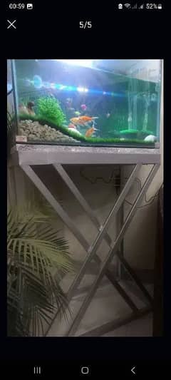 Aquarium for sale