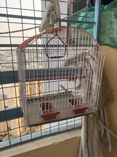 cage for finches and small parrots and birds