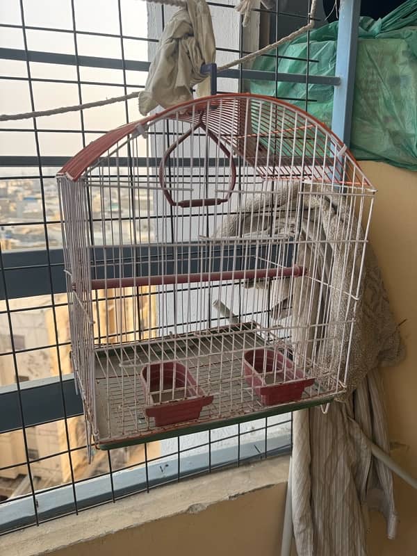 cage for finches and small parrots and birds 0