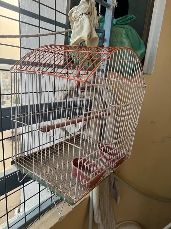 cage for finches and small parrots and birds 1