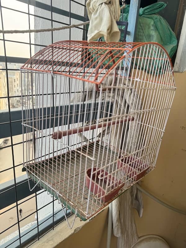 cage for finches and small parrots and birds 2