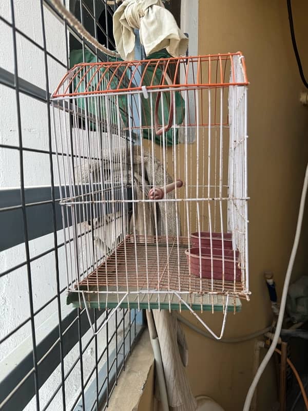 cage for finches and small parrots and birds 3