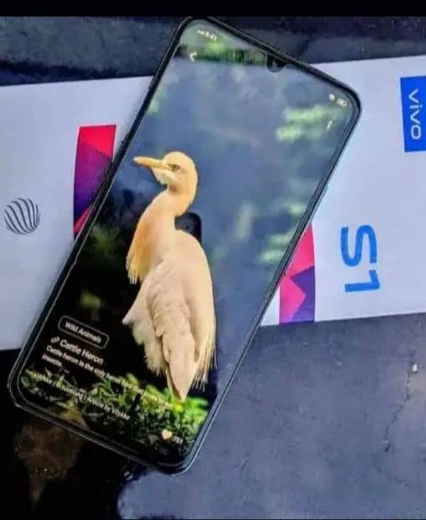 vivo s1 8/256 new set 10 by 10 box and charger available 0