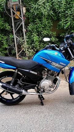 Yamaha