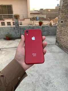 iphone xr 128gb non pta water pack