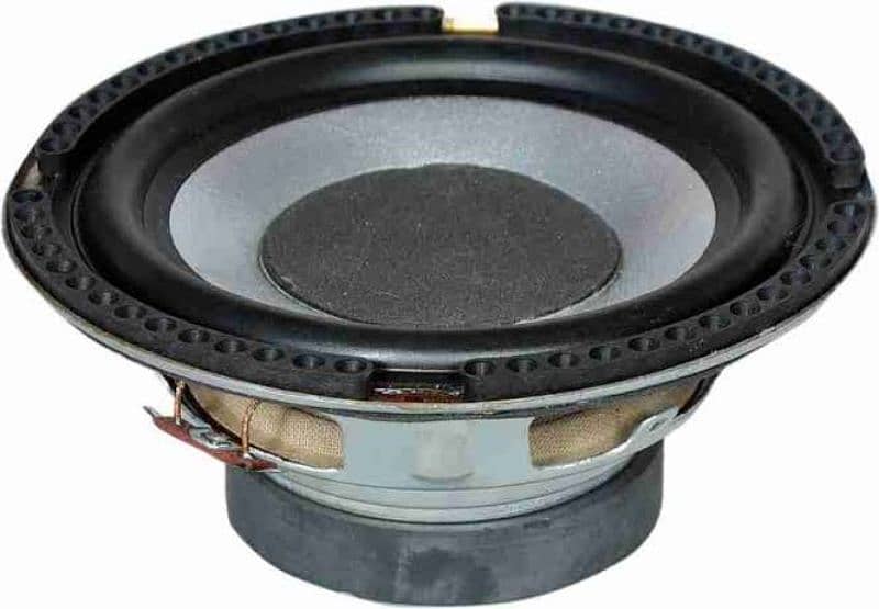 F&D Company original woofer 0