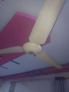 selling fan" 5 "piece old model