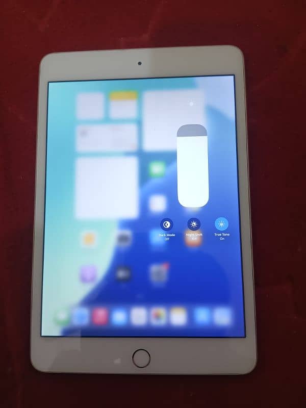 ipad mini 5 with box only 64gb 0