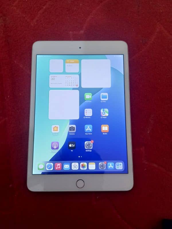 ipad mini 5 with box only 64gb 1