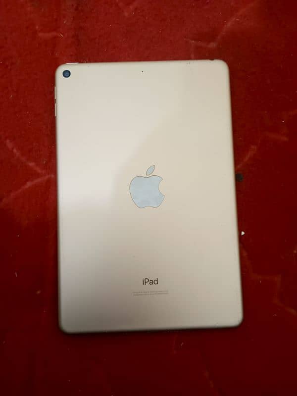 ipad mini 5 with box only 64gb 2