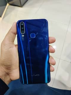 vivo