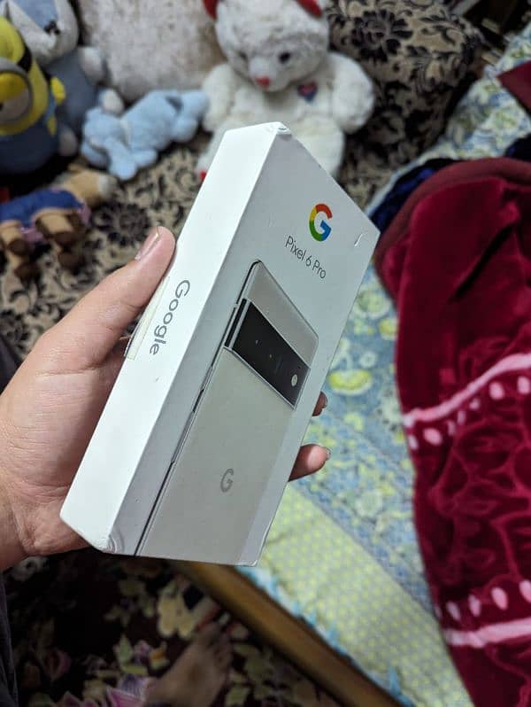 Google Pixel 6 Pro 0