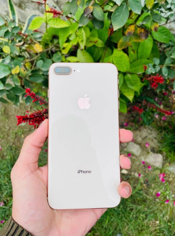 I phone 8 plus pta approve 256 Gb 1