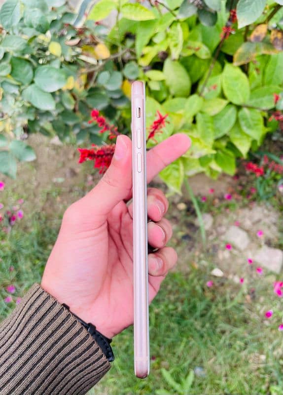 I phone 8 plus pta approve 256 Gb 3