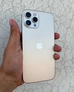 iphone 12 pro max pta   11 13 14 15 16