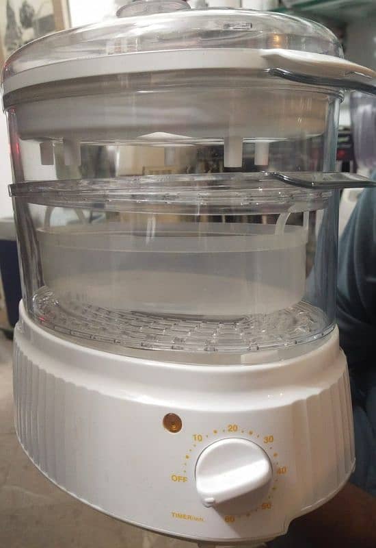 food steamer 1