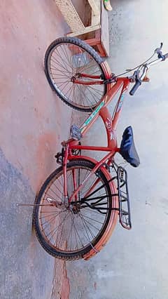 Cycle for sale