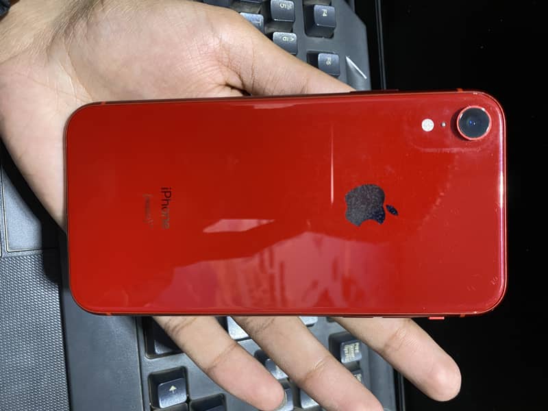 iPhone xr 10/10 1